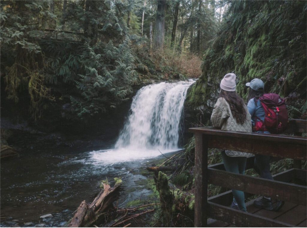 stocking creek saltair