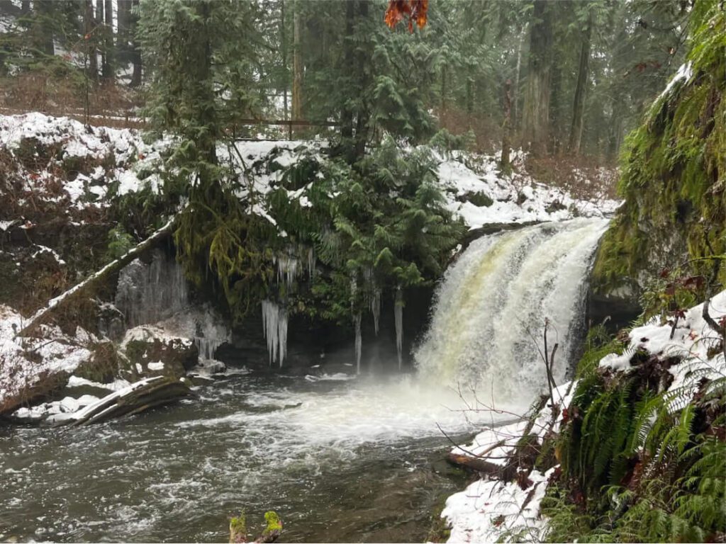 stocking creek winter