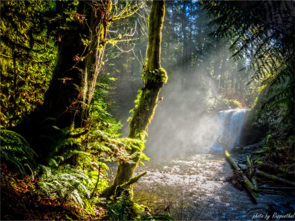 waterfalls stocking creek