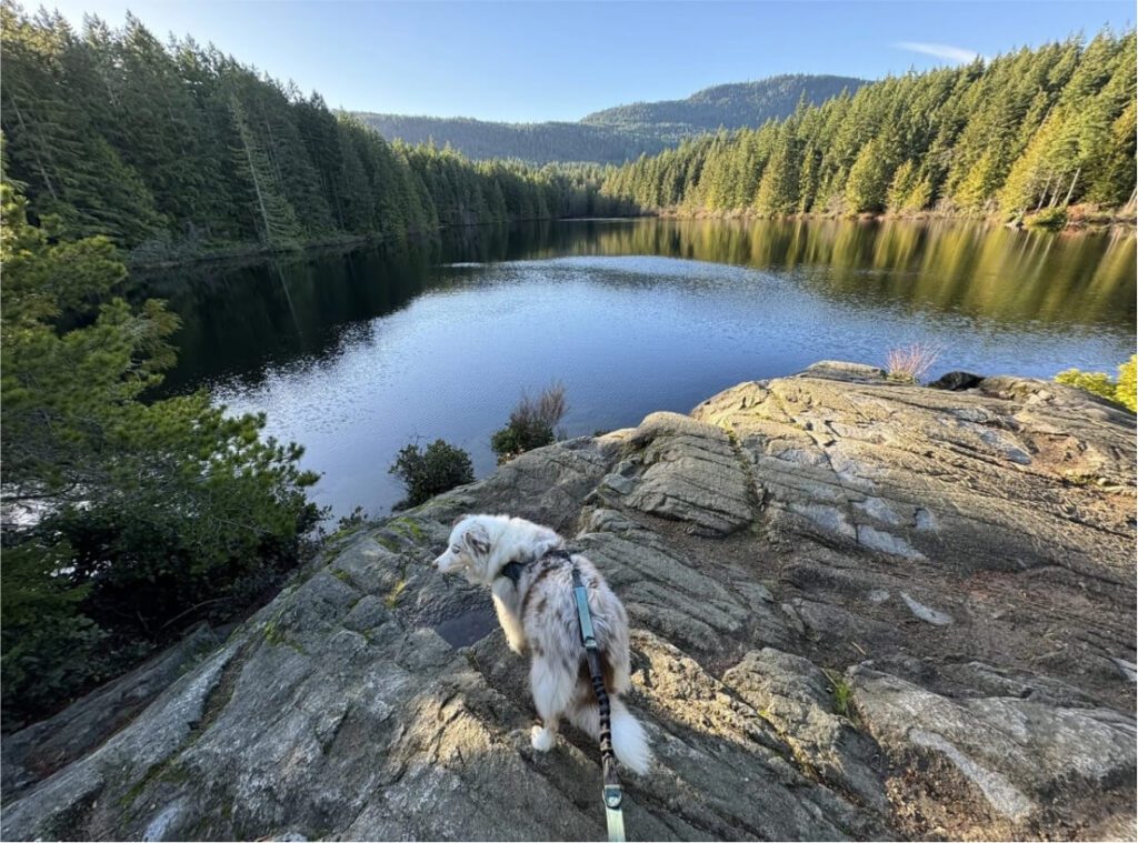 Heart Lake Loop Cowichan Valley