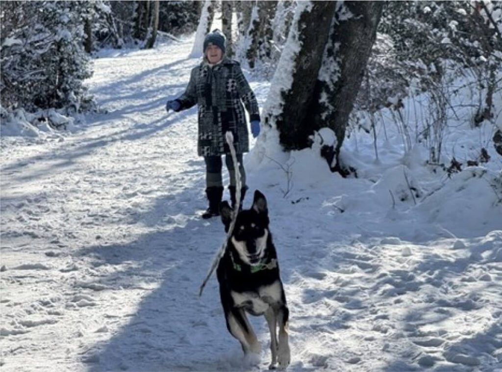Stocking Creek Dog Trail