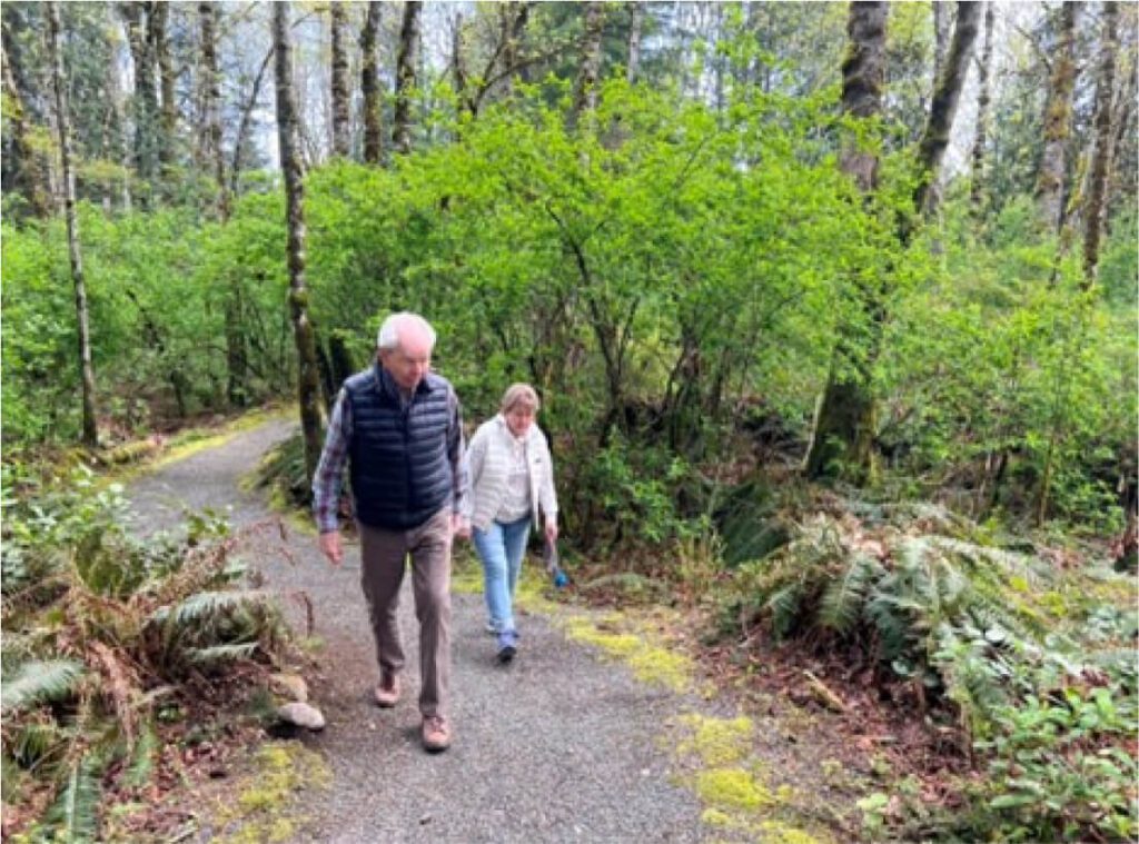 Stocking Creek Trail