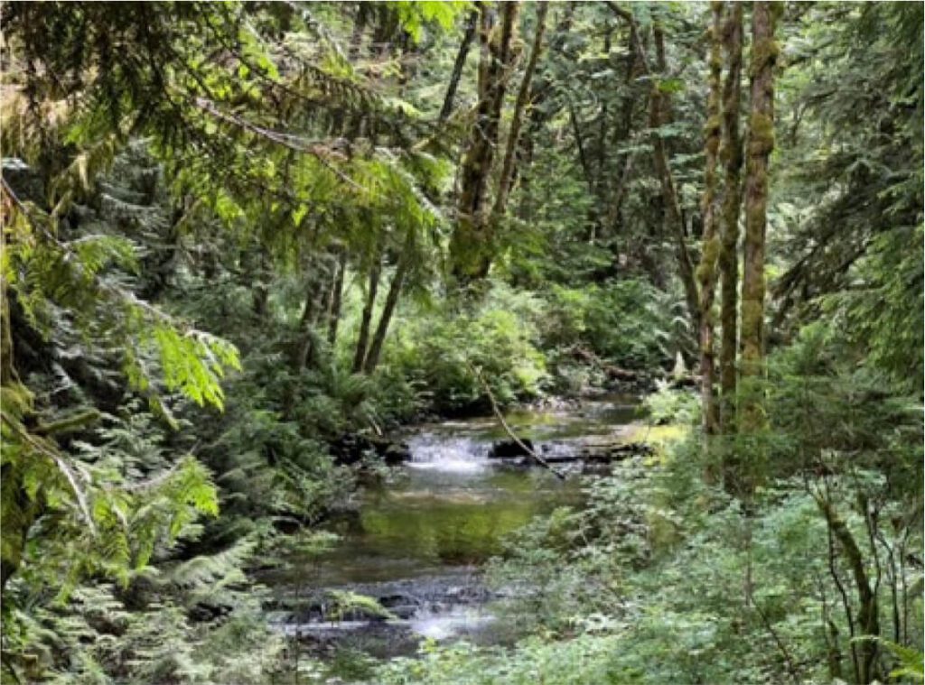 Trans Canada Trail Vancouver Island